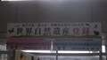 RIMG5016.JPG