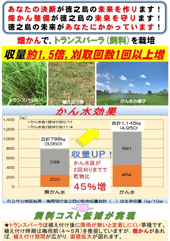 【天城町】畑かんパンフ3月号_1.jpg