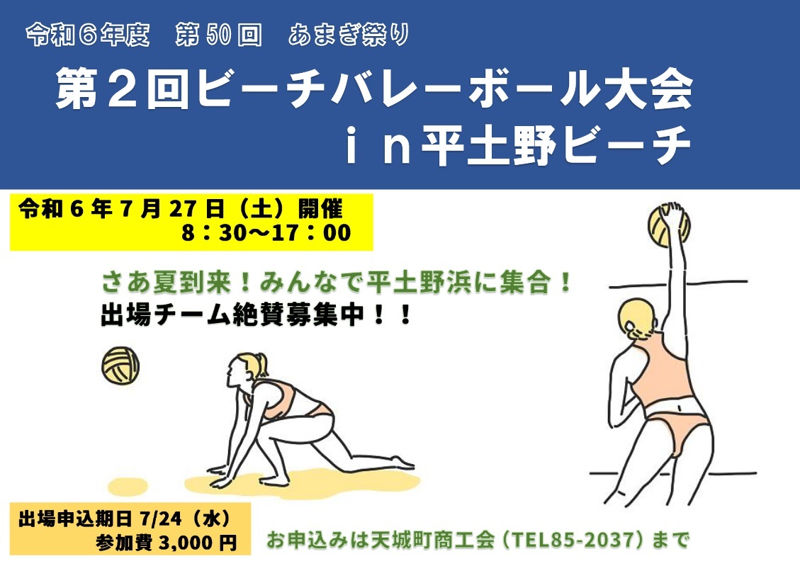 ビーチバレーボール2.jpg