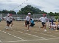 P1310219.JPG