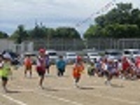 P1310572.JPG