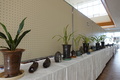 DSC04260.JPG