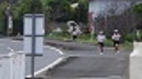 RIMG2953.JPG
