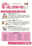 猫の適正飼養月間裏.jpg