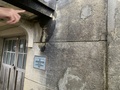 IMG_6415.jpeg