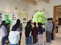 100_0489.JPG