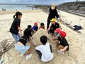 IMG_8517.JPG