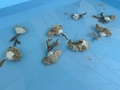 IMG_8070.jpeg