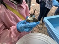 IMG_8018.jpeg