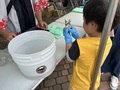 IMG_8027.jpeg