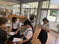 IMG_7772.jpg