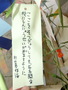 CIMG7507.JPG