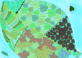 18.png