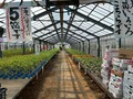 3.ハウス入口.jpg