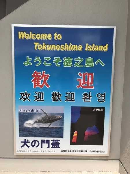 ようこそ徳之島へ　歓迎看板