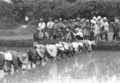 uid000004_20110323201923d108aa8b.jpg