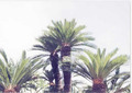 uid000004_201103232021556256eeeb.jpg