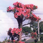 uid000004_20110323202204af1d367e.jpg