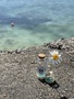 IMG_3065.jpeg