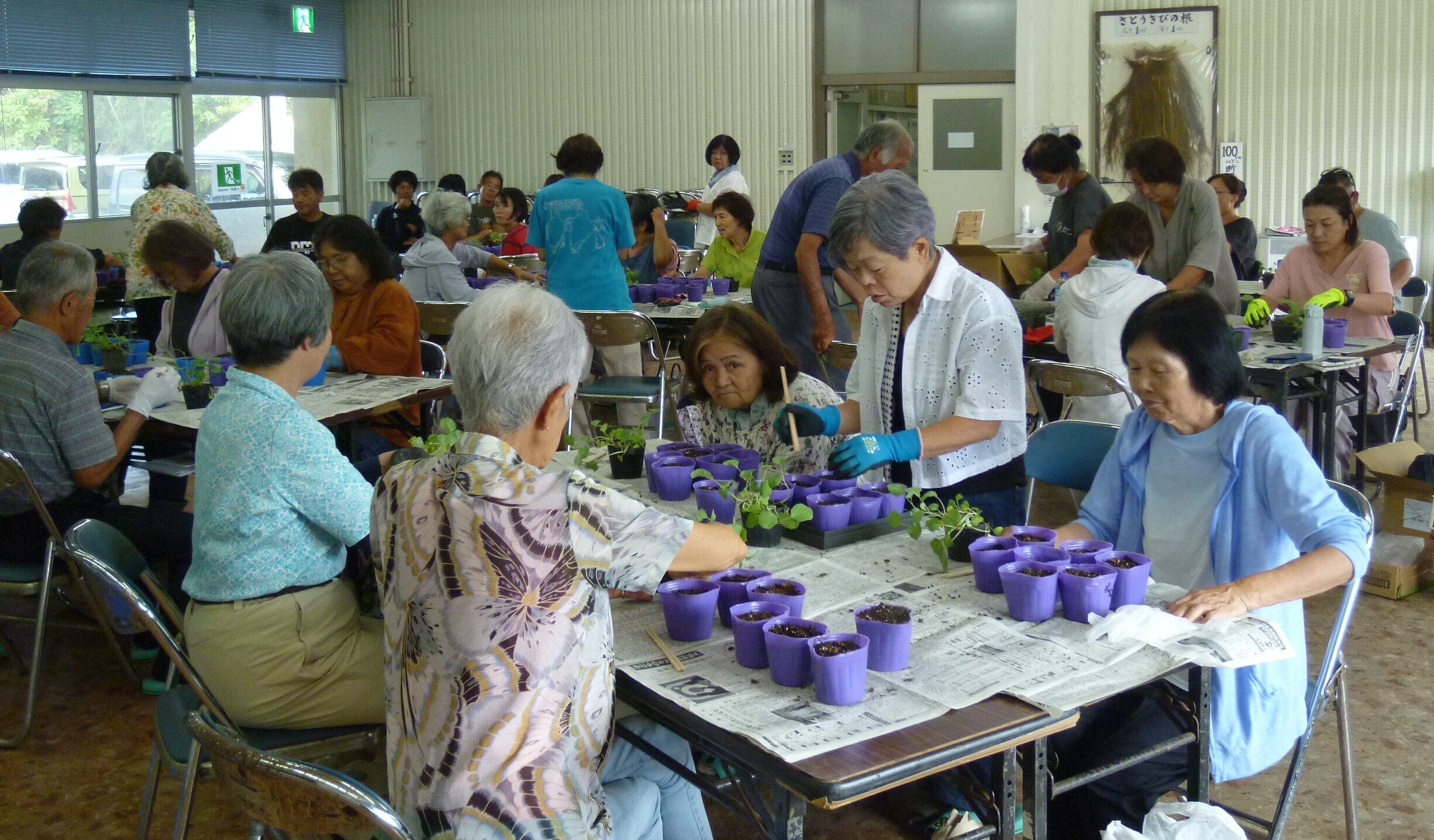 P1090163.JPG