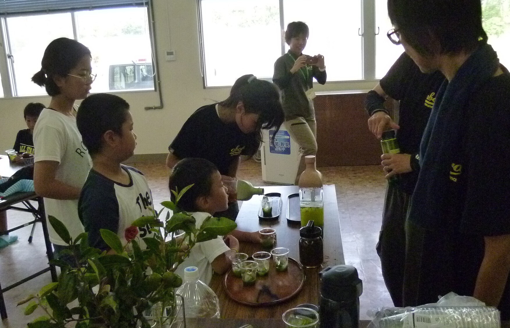 彩層茶.JPG