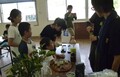 彩層茶.JPG