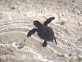 uid000027_2014040917054600a9806b.jpg