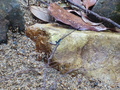 P1090328.JPG
