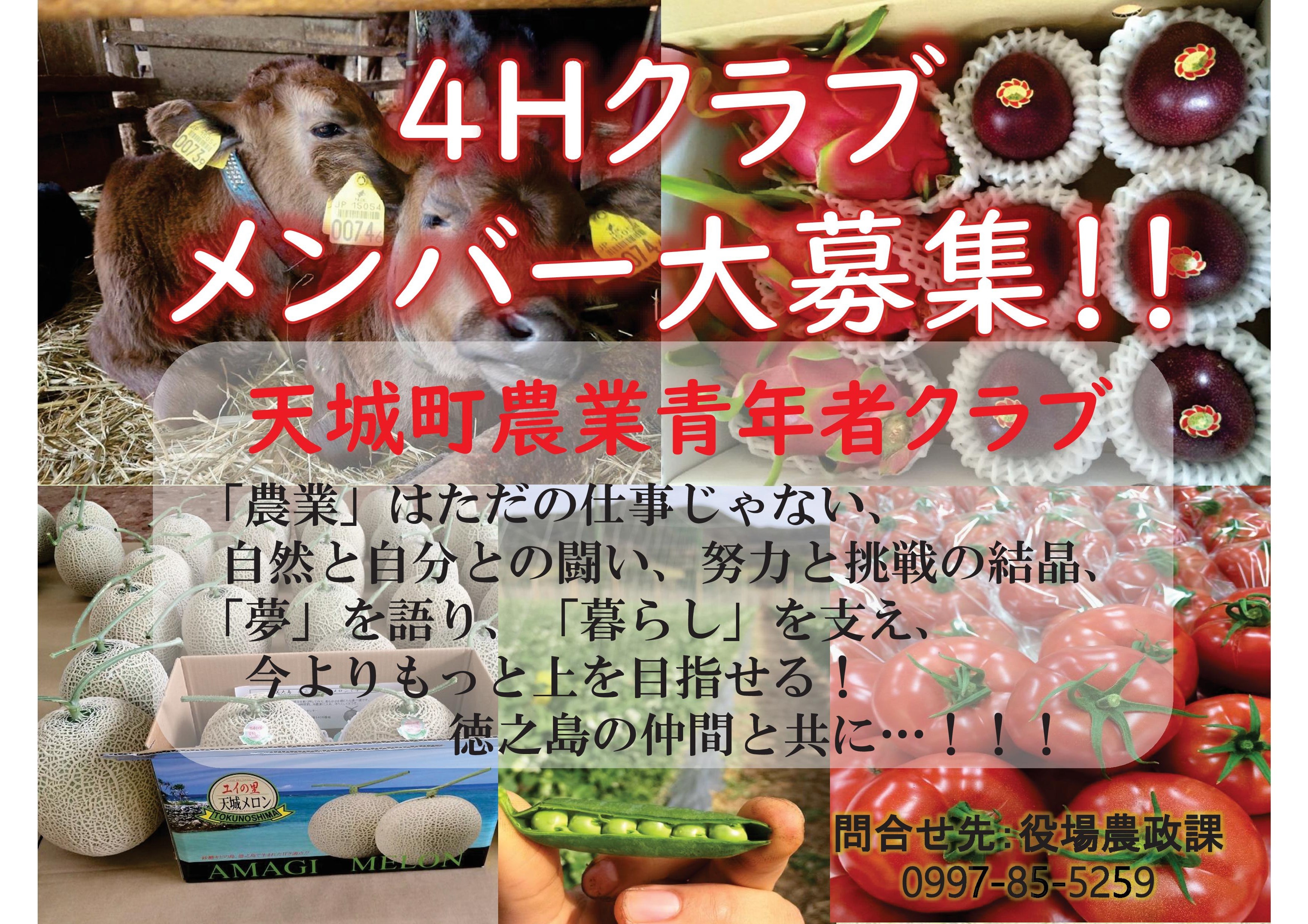 天城町４hクラブ員募集について 天城町