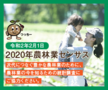 2020nou.png
