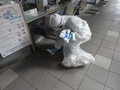 DSC05065.JPG